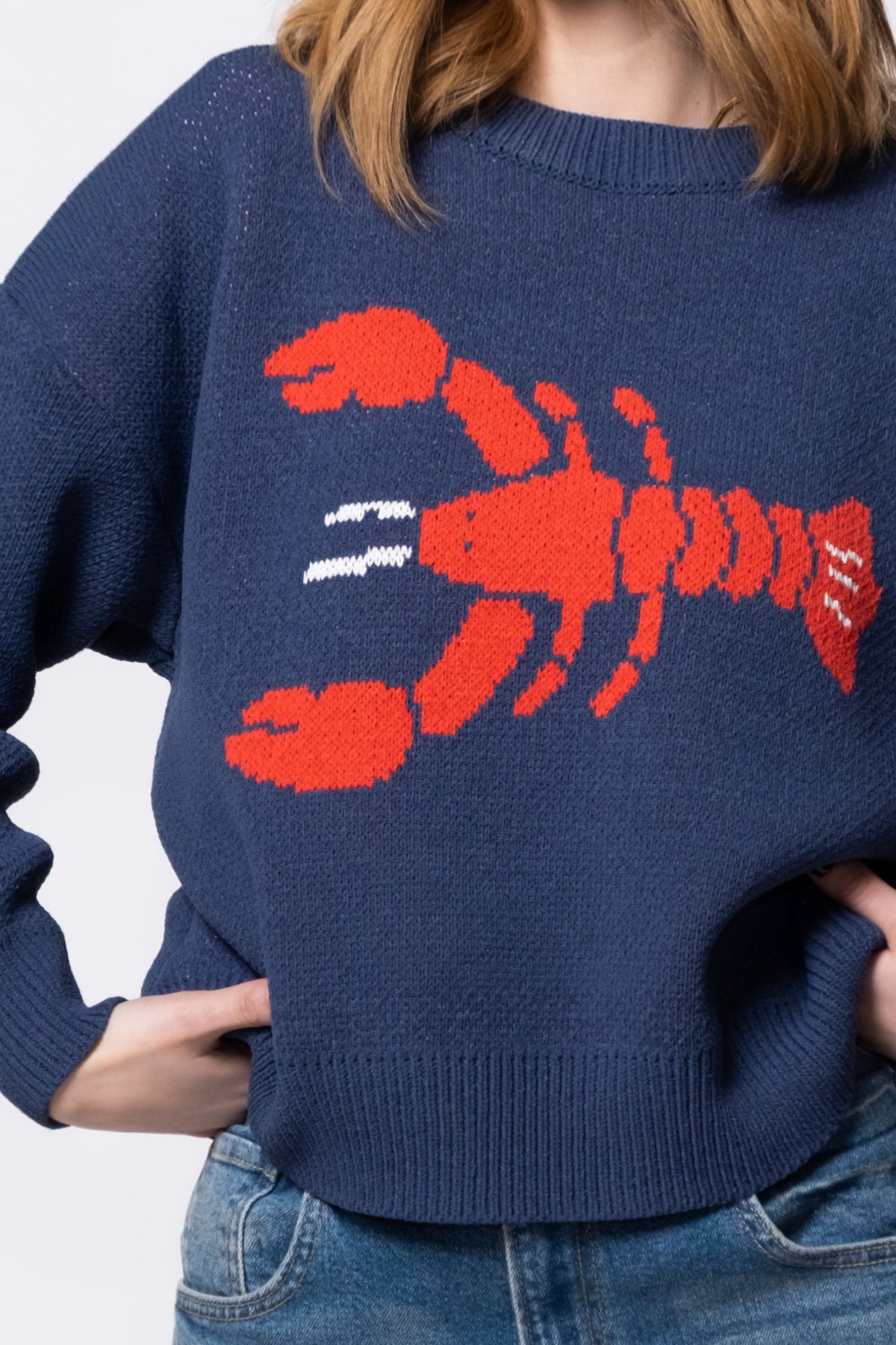 Pinch Me Crewneck Sweater