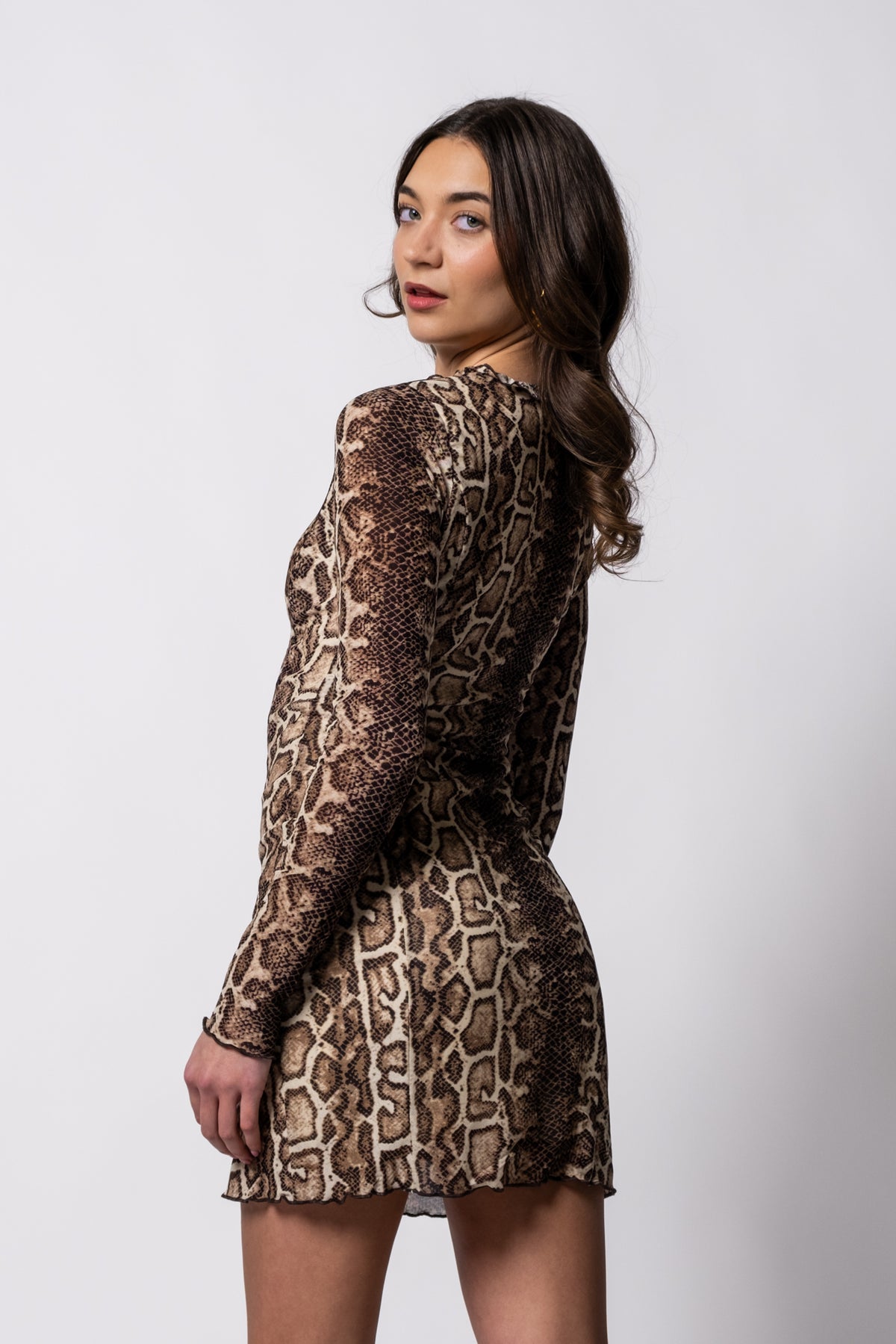 Skin Deep Snake Print Mini Dress